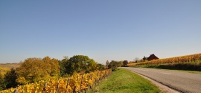 French Alsace Driving Holiday - 5 days - European Driving Holiday